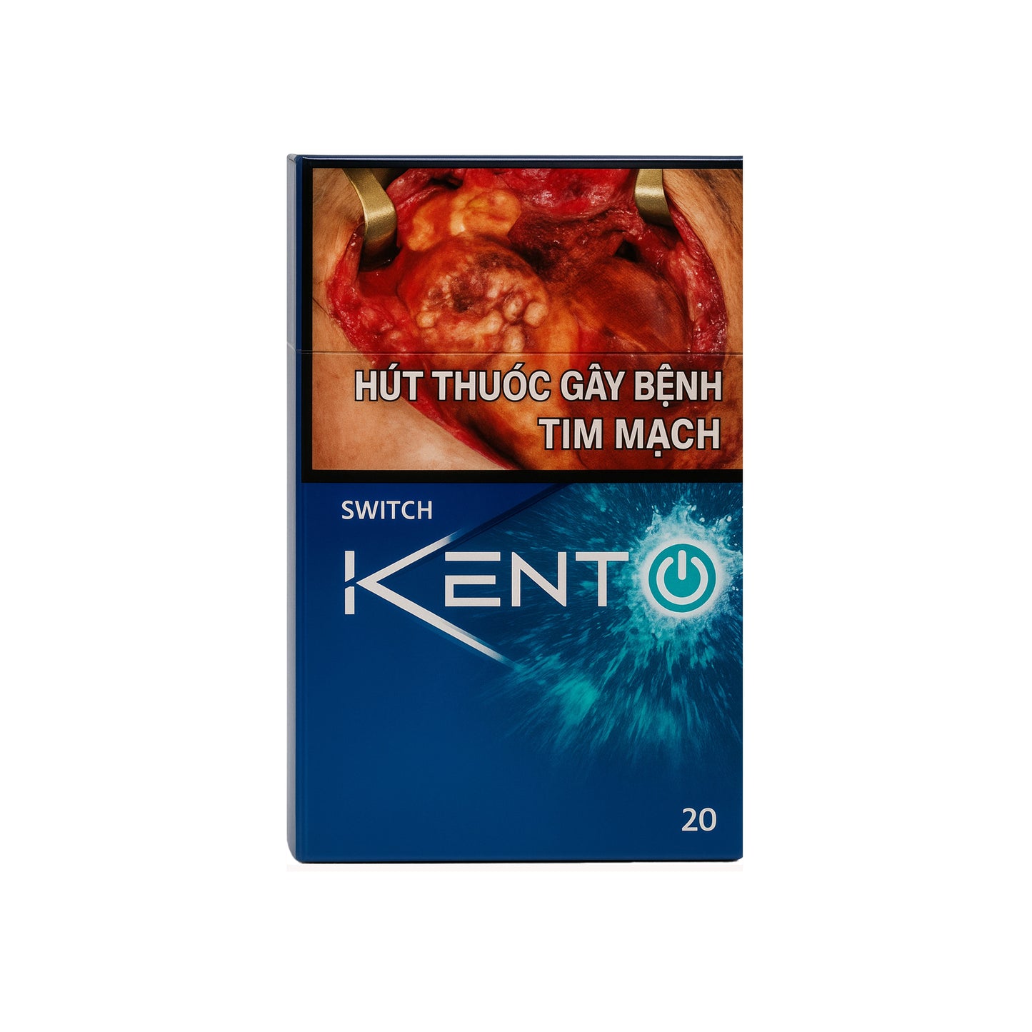 Vietnamese Kent Switch